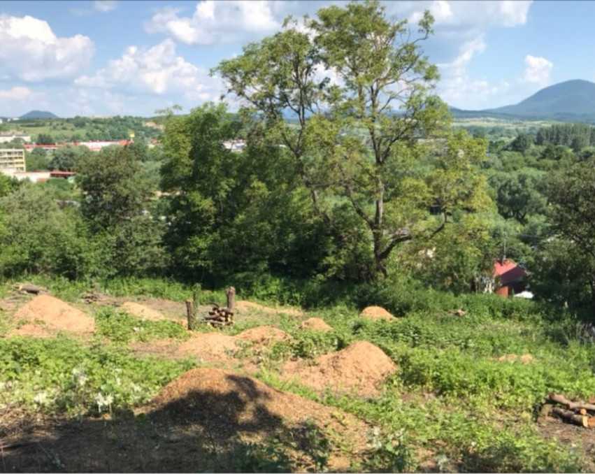 Projekt Dilongova Panoráma